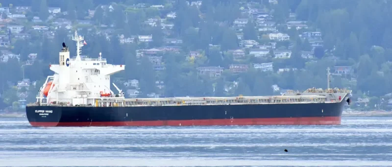 ORIENT VIOLET Bulk Carrier IMO 9727326 photo 5