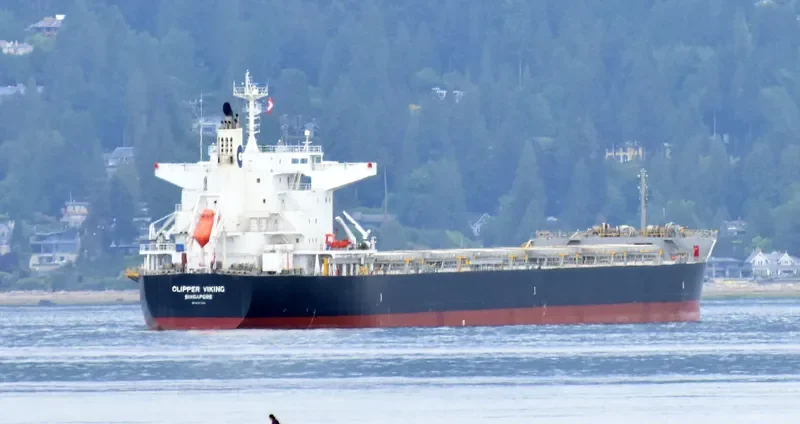 ORIENT VIOLET Bulk Carrier IMO 9727326 photo 6