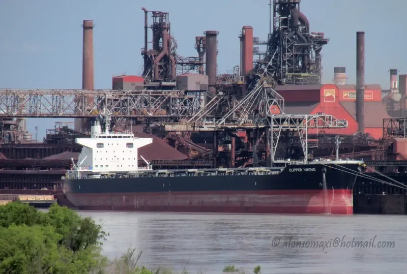 ORIENT VIOLET Bulk Carrier IMO 9727326 photo 8