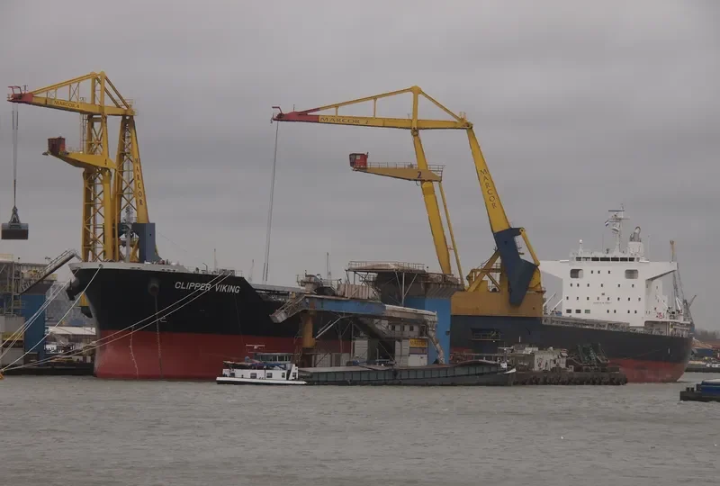 ORIENT VIOLET Bulk Carrier IMO 9727326 photo 10