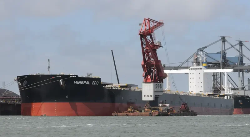 MINERAL EDO Bulk Carrier IMO 9727352 photo 3