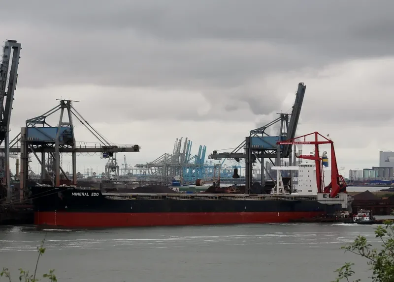 MINERAL EDO Bulk Carrier IMO 9727352 photo 5