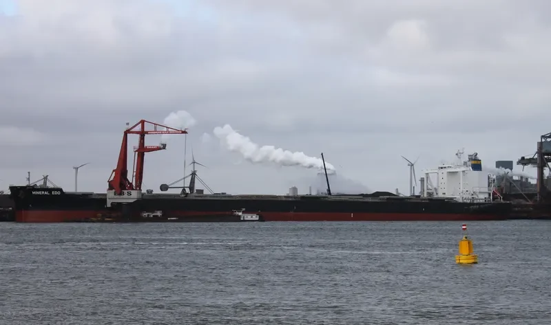 MINERAL EDO Bulk Carrier IMO 9727352 photo 6