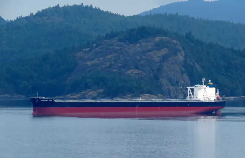 MINERAL EDO Bulk Carrier IMO 9727352 photo 7