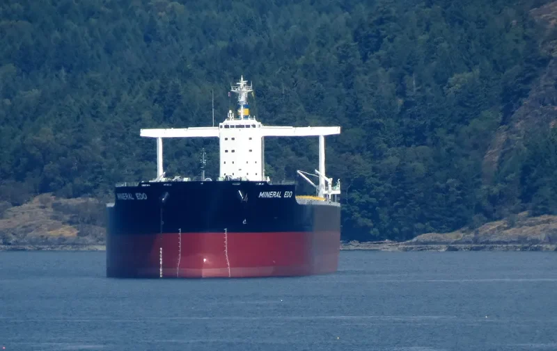 MINERAL EDO Bulk Carrier IMO 9727352 photo 8