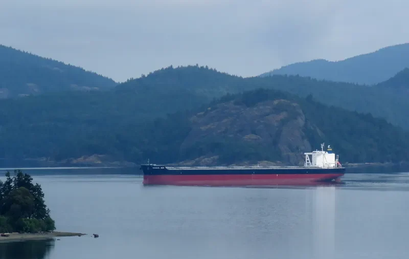 MINERAL EDO Bulk Carrier IMO 9727352 photo 9