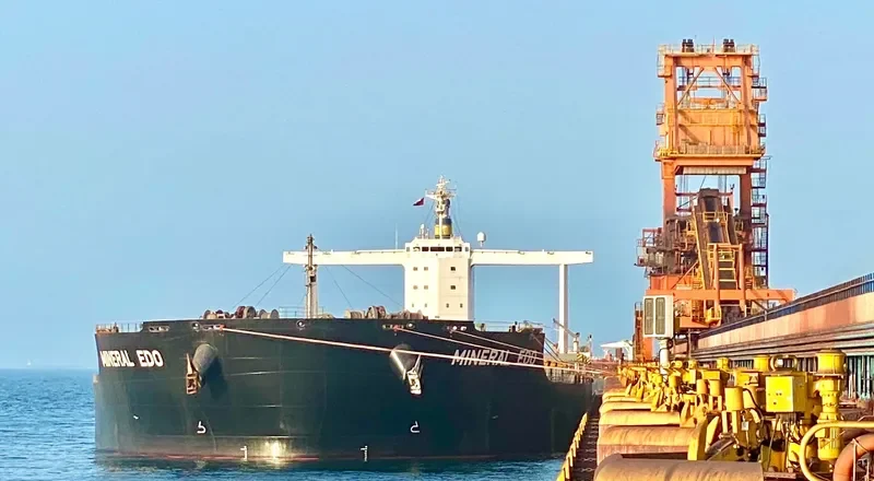 MINERAL EDO Bulk Carrier IMO 9727352 photo 10