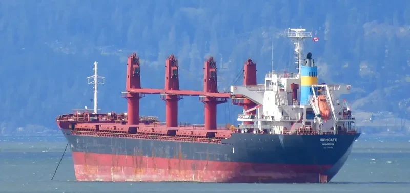 IRONGATE Bulk Carrier IMO 9727364 photo 9