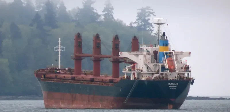 IRONGATE Bulk Carrier IMO 9727364 photo 10