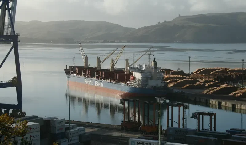 INSPIRATION LAKE Bulk Carrier IMO 9727376 photo 7