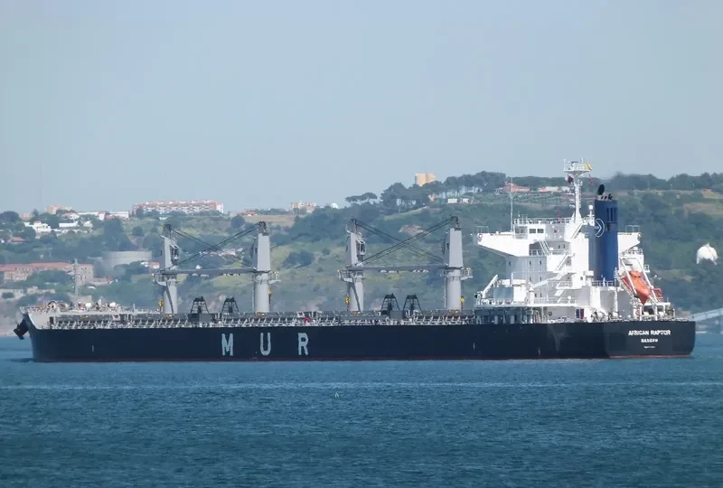 AFRICAN RAPTOR Bulk Carrier IMO 9727405 photo 2