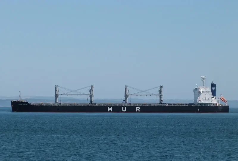 AFRICAN RAPTOR Bulk Carrier IMO 9727405 photo 3