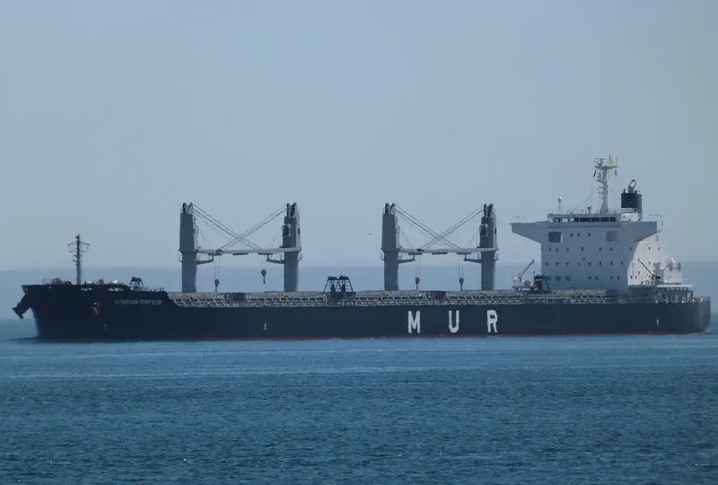 AFRICAN RAPTOR Bulk Carrier IMO 9727405 photo 4