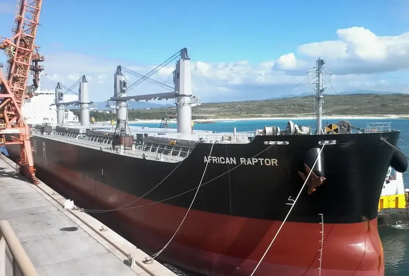 AFRICAN RAPTOR Bulk Carrier IMO 9727405 photo 5