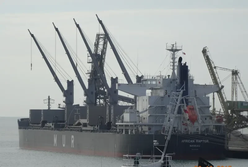 AFRICAN RAPTOR Bulk Carrier IMO 9727405 photo 6