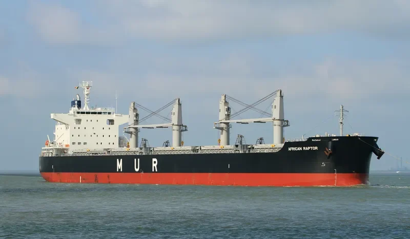 AFRICAN RAPTOR Bulk Carrier IMO 9727405 photo 7
