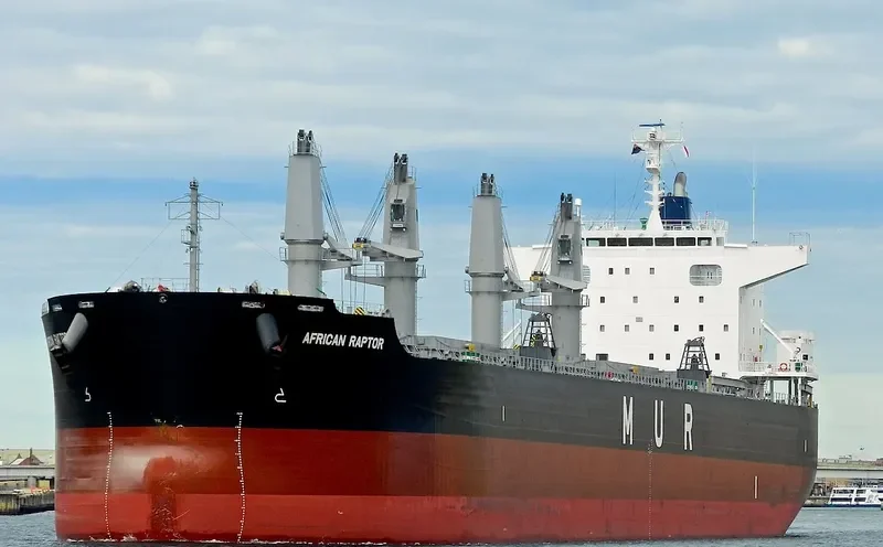 AFRICAN RAPTOR Bulk Carrier IMO 9727405 photo 8