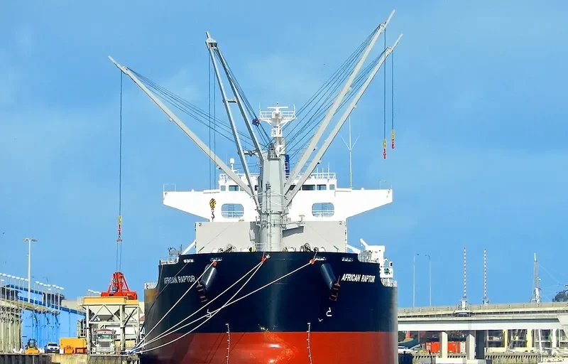 AFRICAN RAPTOR Bulk Carrier IMO 9727405 photo 10
