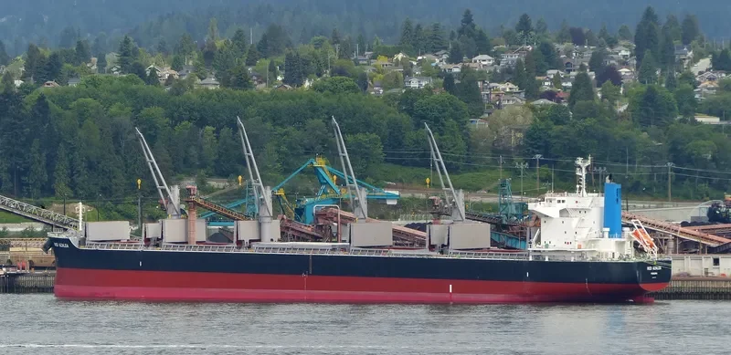 RED AZALEA Bulk Carrier IMO 9727417