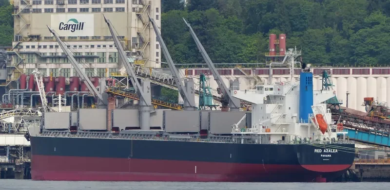 RED AZALEA Bulk Carrier IMO 9727417 photo 2