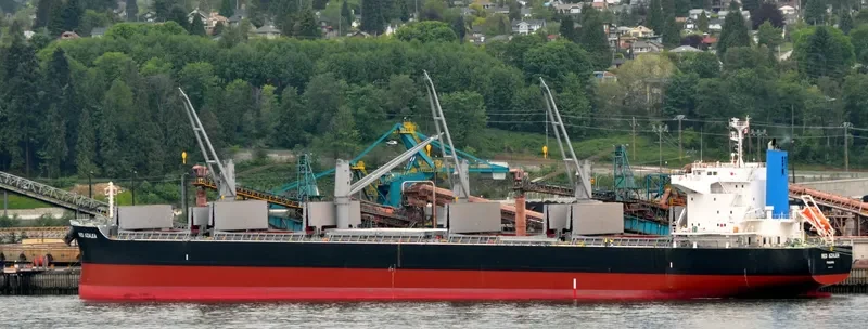 RED AZALEA Bulk Carrier IMO 9727417 photo 3