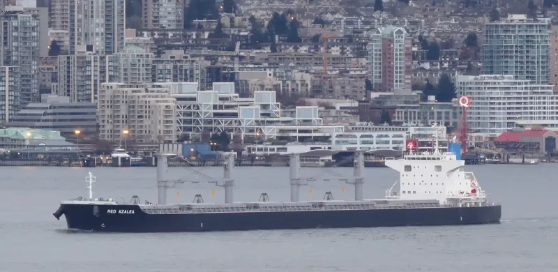 RED AZALEA Bulk Carrier IMO 9727417 photo 4
