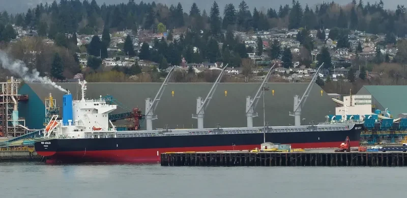 RED AZALEA Bulk Carrier IMO 9727417 photo 6