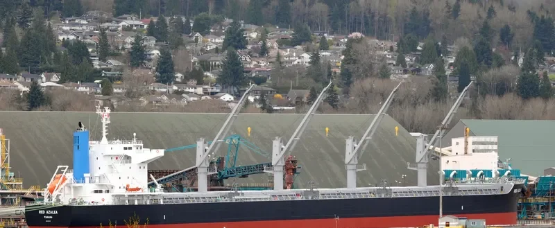RED AZALEA Bulk Carrier IMO 9727417 photo 7