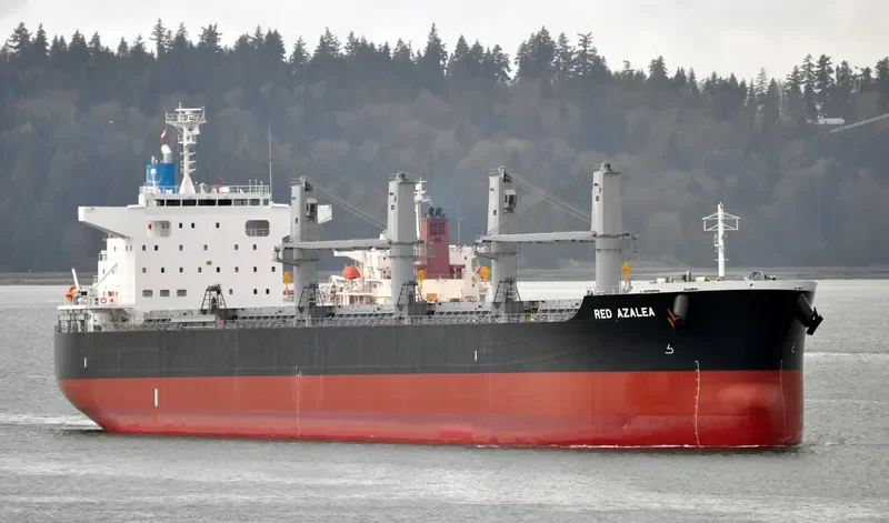 RED AZALEA Bulk Carrier IMO 9727417 photo 9