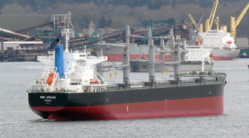 RED AZALEA Bulk Carrier IMO 9727417 photo 10