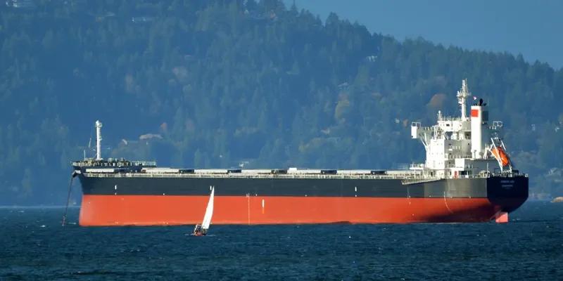 CRIMSON ACE Bulk Carrier IMO 9727429