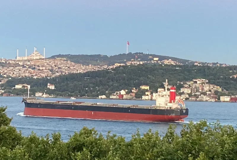CRIMSON ACE Bulk Carrier IMO 9727429 photo 3