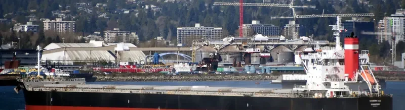 CRIMSON ACE Bulk Carrier IMO 9727429 photo 4