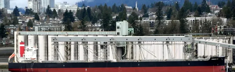 CRIMSON ACE Bulk Carrier IMO 9727429 photo 7