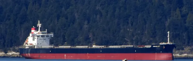 CRIMSON ACE Bulk Carrier IMO 9727429 photo 8