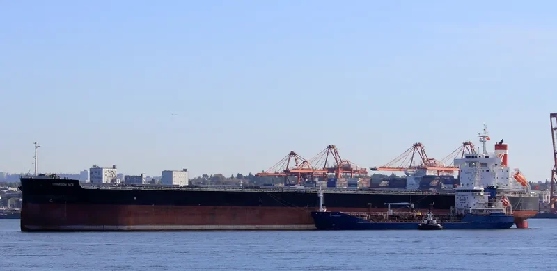 CRIMSON ACE Bulk Carrier IMO 9727429 photo 10