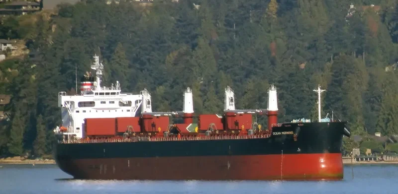 ND PISTIS Bulk Carrier IMO 9727431