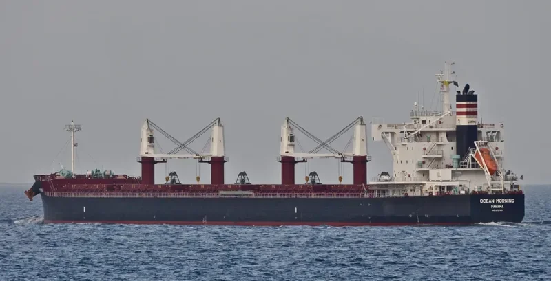 ND PISTIS Bulk Carrier IMO 9727431 photo 2