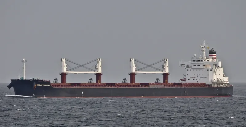 ND PISTIS Bulk Carrier IMO 9727431 photo 3