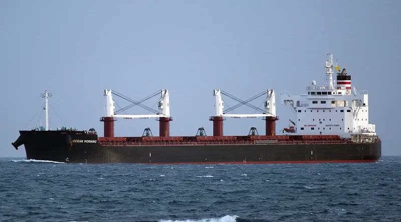 ND PISTIS Bulk Carrier IMO 9727431 photo 4