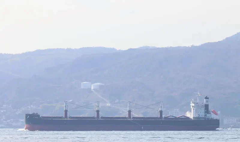 ND PISTIS Bulk Carrier IMO 9727431 photo 5