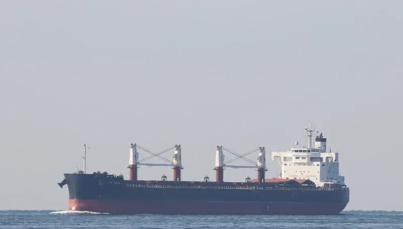 ND PISTIS Bulk Carrier IMO 9727431 photo 6