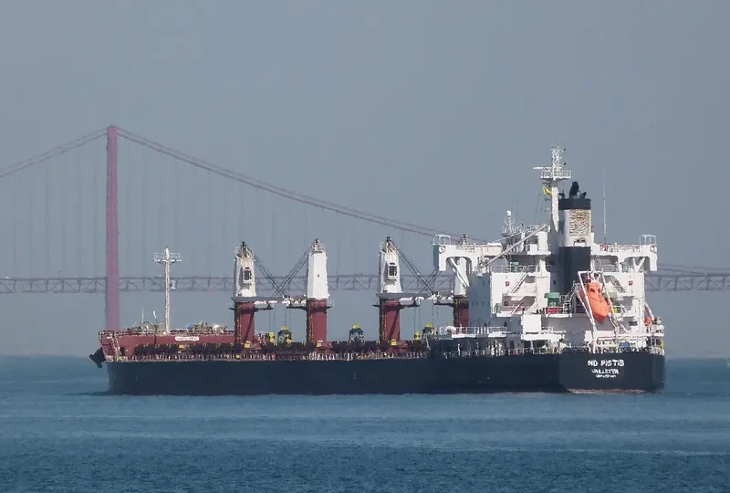 ND PISTIS Bulk Carrier IMO 9727431 photo 7