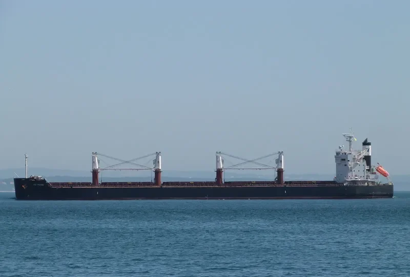 ND PISTIS Bulk Carrier IMO 9727431 photo 8