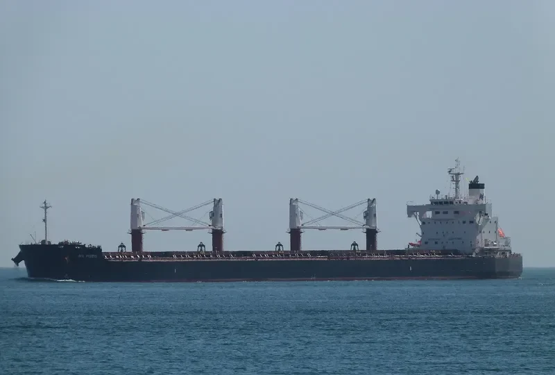 ND PISTIS Bulk Carrier IMO 9727431 photo 9