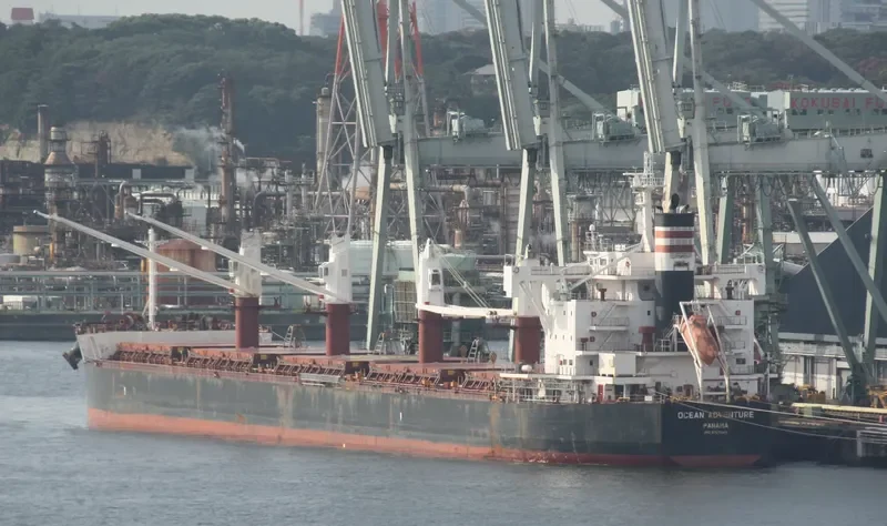 OCEAN ADVENTURE Bulk Carrier IMO 9727443 photo 7