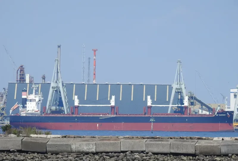 CF DIAMOND Bulk Carrier IMO 9727455