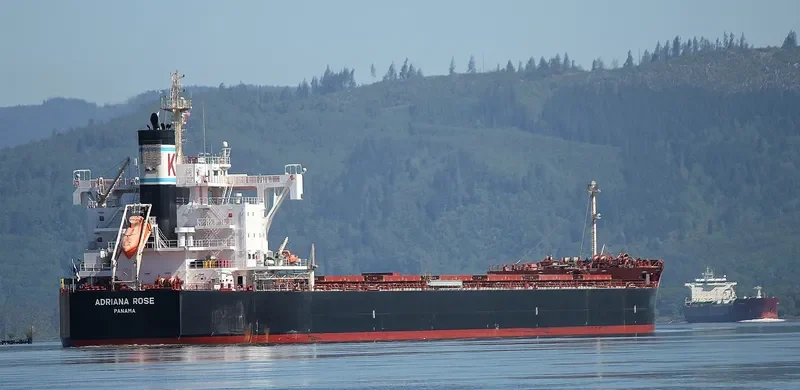 ADRIANA ROSE Bulk Carrier IMO 9727467
