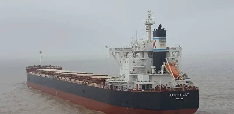 ARIETTA LILY Bulk Carrier IMO 9727479 photo 2