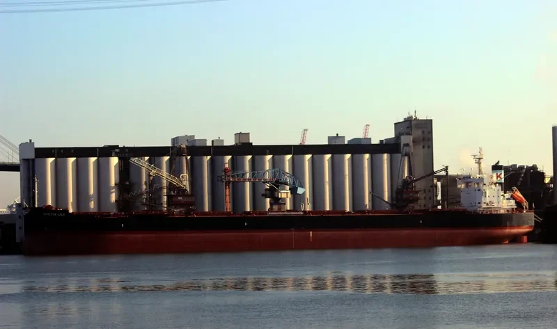 ARIETTA LILY Bulk Carrier IMO 9727479 photo 3